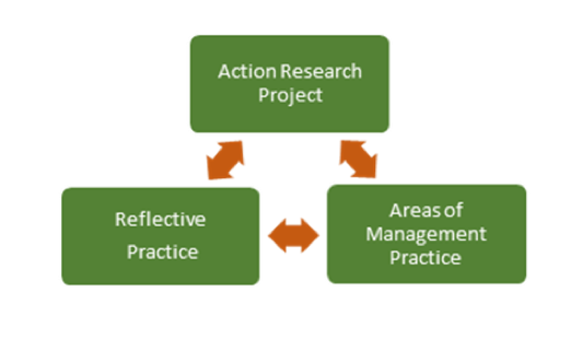 Image of the Integrative Reflective Practice Model